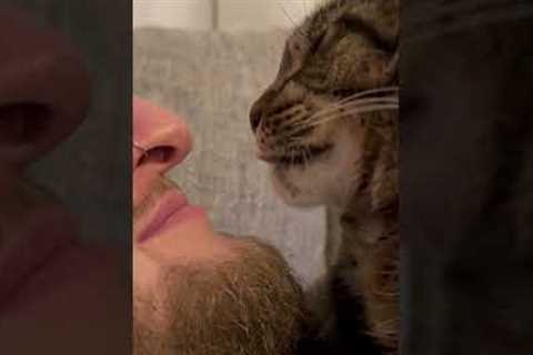 Cat is SICK Of Dad Kissing Him