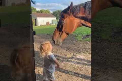 Funniest Farm Animals Of 2025 🐐🤣