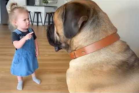 When Your Dog and Baby Are Being the BIGGEST BESTIES 🐶