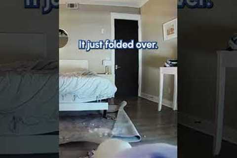 Dog Unplugs Camera When He Gets Caught Misbehaving