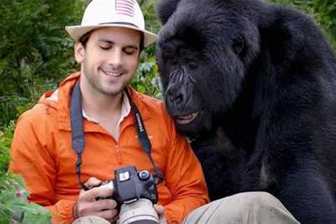 Silly Animals Approaching Photographers in the Most Ridiculous Ways 🤪 Funny Animal and Human