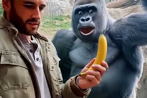 Animals Lose Their Minds Reacting to Magic for the First Time!