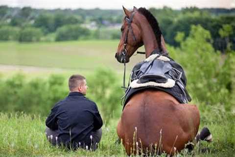 Funniest Horses 🤣   BEST Compilation of 2025