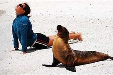 When Animals Are Being Total Little Humans 🤪 Funny Animal and Human