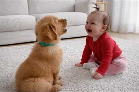 When Your Baby and Little Dog Have a Private Talk You’re Not Invited To 🐶😂