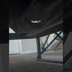 Dad Hides Under Bed Waiting For Cat To Find Him