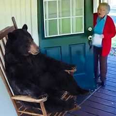 Funniest ANIMALS Videos 2026 will make you LAUGH YOUR HEAD OFF 😂