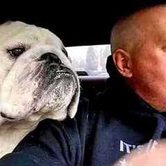 When Dogs Start Imitating Their Owners in the Funniest Ways 🐶🐾