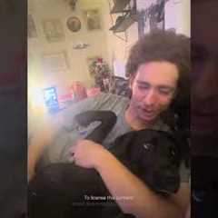 My Dog Raises Her Hand When Asked Who's A Good Girl?! 🥹