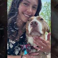 Meet Team USA’s Korey Dropkin and the Pets Behind His Olympic Journey