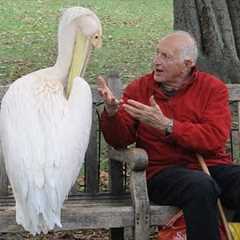 The Funniest Animal on Earth is Funnier Than Your Imagination!