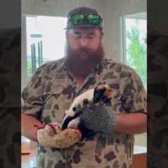 Cats are agents of chaos!! (And we wouldn't have them any other way!) 😹💥 #Cats #CatVideos #Funny