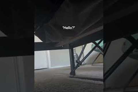 Dad Hides Under Bed Waiting For Cat To Find Him