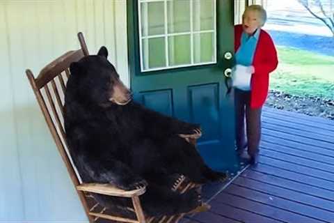 Funniest ANIMALS Videos 2026 will make you LAUGH YOUR HEAD OFF 😂