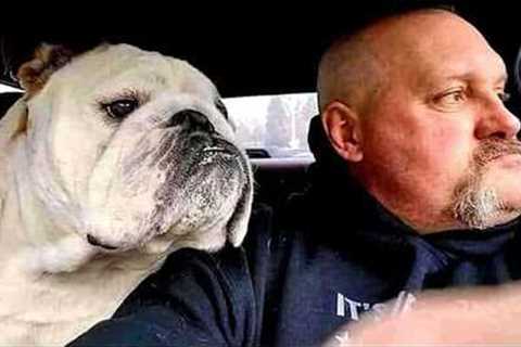 When Dogs Start Imitating Their Owners in the Funniest Ways 🐶🐾