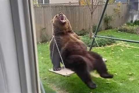 The Funniest Animal Drama of 2025 You’ll Ever See 😂