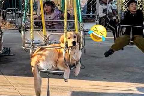 We Don't Deserve Golden Retrievers | FUNNIEST Dog Shorts