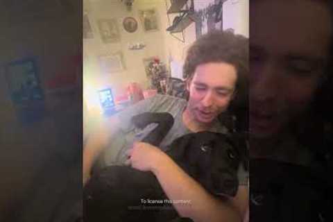 My Dog Raises Her Hand When Asked Who's A Good Girl?! 🥹