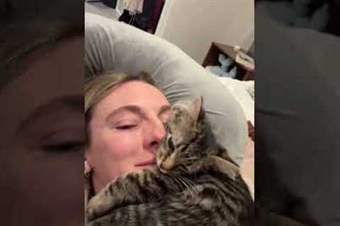 My Kitten Loves To Lay On My Face 😂😅 #Cats #Kitten #Cute