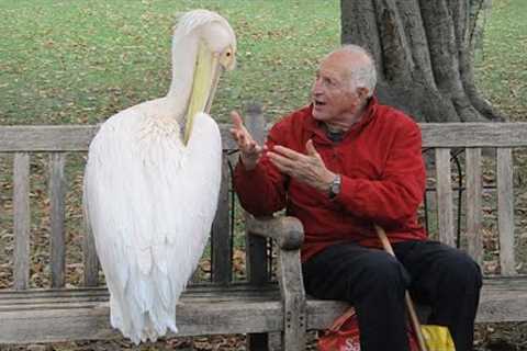 The Funniest Animal on Earth is Funnier Than Your Imagination!