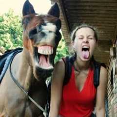 The Funniest Horse Reactions EVER 2026 🤣 Funny Animal Moments!