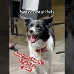 This Dog Made the Reader’s Digest Cover!