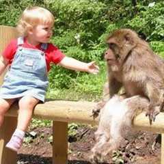 When Your Baby and Animals Make Friends Beyond Boundaries ❤️