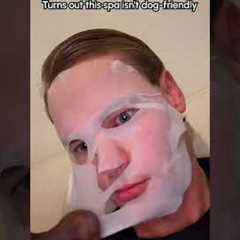 Dachshund Tries To Eat Sheet Mask Off My Face 😅