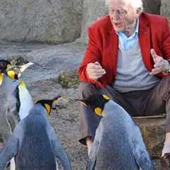 The Funniest Argument Ever Between Funniest Talking Animal and Human! 🤪