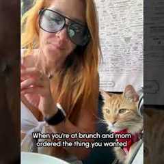 Cat Snatches Waffle Straight Off My Fork!