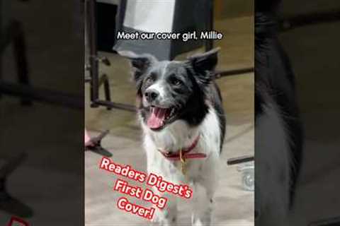 This Dog Made the Reader’s Digest Cover!