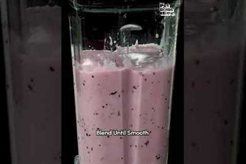 Smoothie Recipe For Dogs 🍓 | Recipe Swap