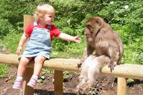 When Your Baby and Animals Make Friends Beyond Boundaries ❤️