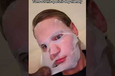 Dachshund Tries To Eat Sheet Mask Off My Face 😅