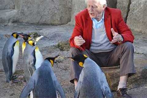 The Funniest Argument Ever Between Funniest Talking Animal and Human! 🤪