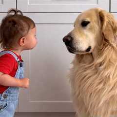 When Your Baby is Raised by a Talking Dog … Cutest Moment Ever! 😍