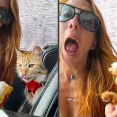 My Cat Is Literally An NPC! 😹 | Funniest Pets Of The Week