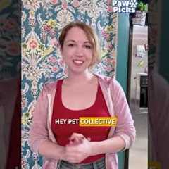 Paw Picks: Petlibro Polar Wet Food Feeder