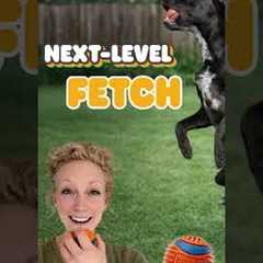 Paw Picks: Chuckit! Balls