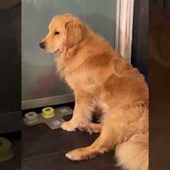 Kinda seems like he wants to play.... not 100% sure though 😆😆