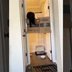 Close Shaves and Great Escapes!