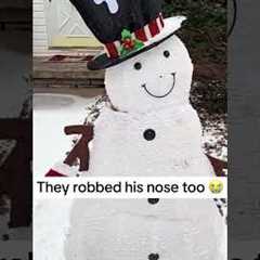 🚨 Squirrels + Anything = Hilarious Chaos 🐿️ #WildAnimals #Squirrels #Hardcore #Funny