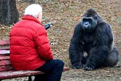 When Intelligent Animals Learn a Little Too Much From Their Human 🤣