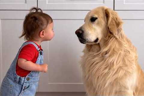 When Your Baby is Raised by a Talking Dog … Cutest Moment Ever! 😍