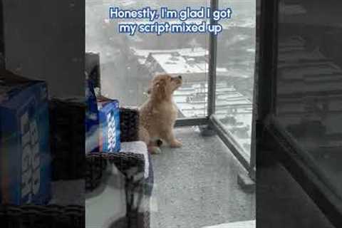 You CAN'T Tell Me My Puppy Isn't The Cutest!