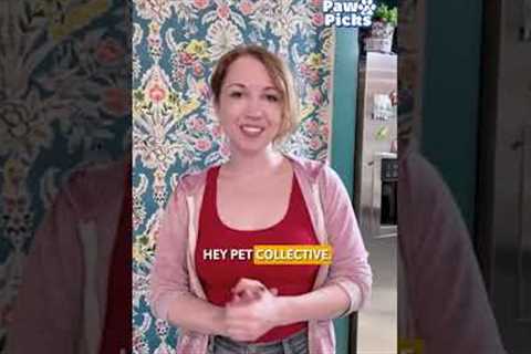 Paw Picks: Petlibro Polar Wet Food Feeder