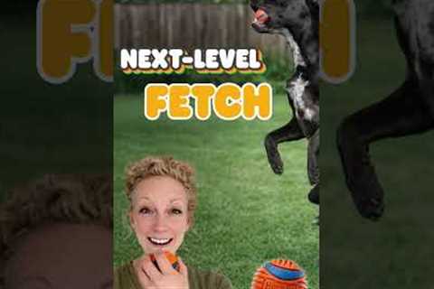 Paw Picks: Chuckit! Balls