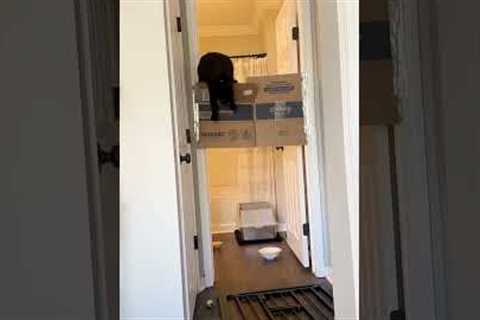 Close Shaves and Great Escapes!