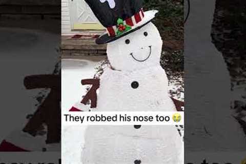 🚨 Squirrels + Anything = Hilarious Chaos 🐿️ #WildAnimals #Squirrels #Hardcore #Funny