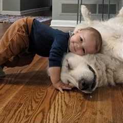 When we had a happy childhood together and beyond - Cute dog and little human